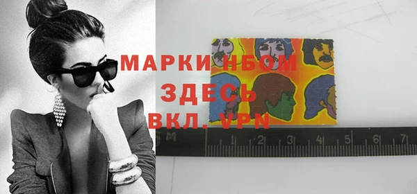 ГАЛЛЮЦИНОГЕННЫЕ ГРИБЫ Алзамай