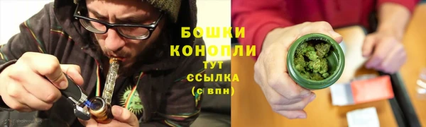 ГАЛЛЮЦИНОГЕННЫЕ ГРИБЫ Алзамай