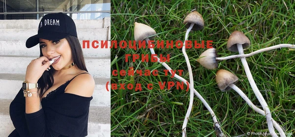 ГАЛЛЮЦИНОГЕННЫЕ ГРИБЫ Алзамай