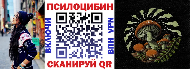 где продают наркотики Тулун Псилоцибиновые грибы Psilocybine cubensis
