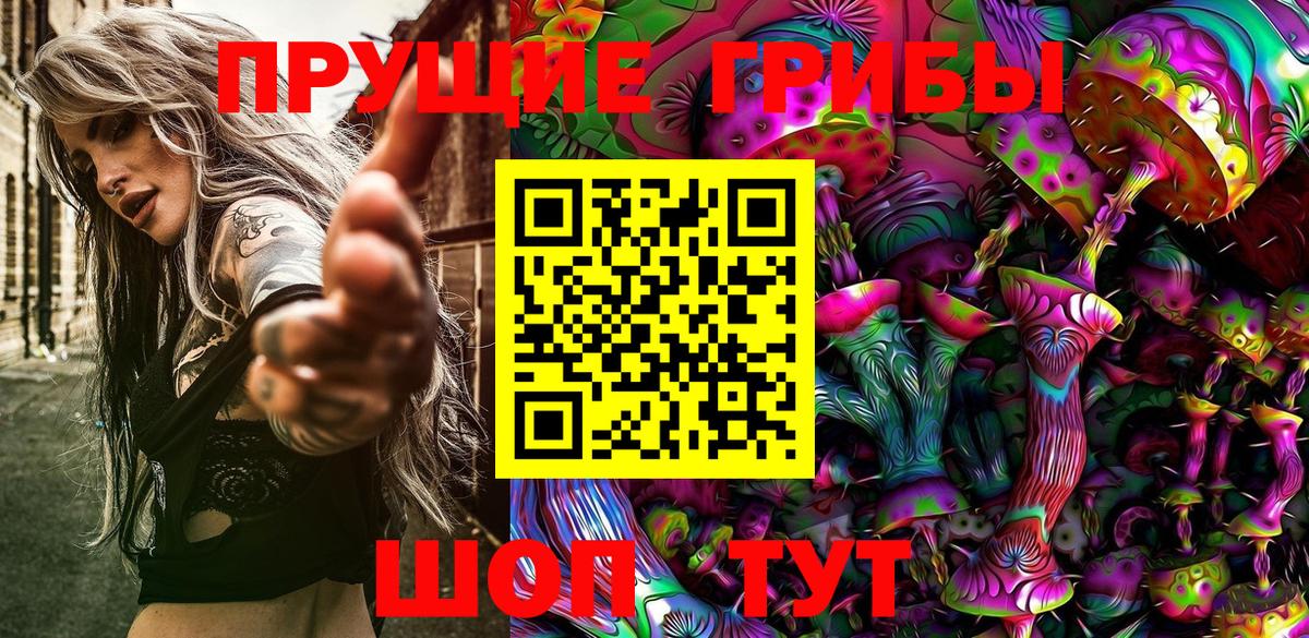 Тулун  Галлюциногенные грибы мицелий  сколько стоит  Вход с VPN 