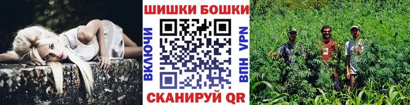 Шишки марихуана план  kraken ССЫЛКА  Тулун 